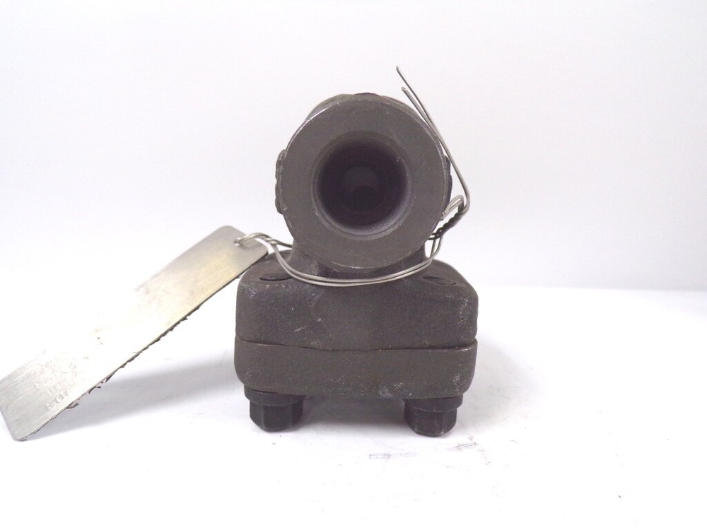 WARREN S CHECK VALVE 1/2" 853-T CLASS 800LB