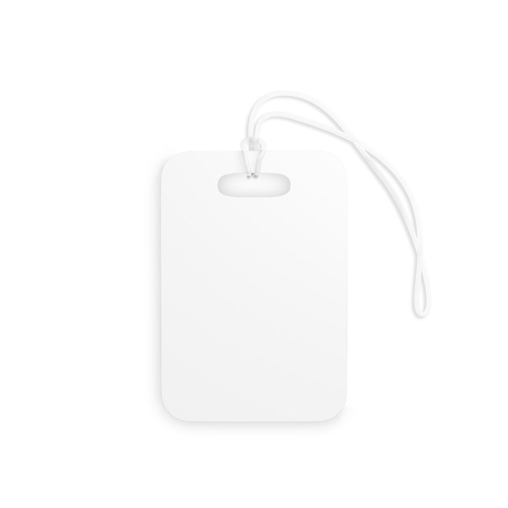 American Airlines with Eagle Luggage Tags