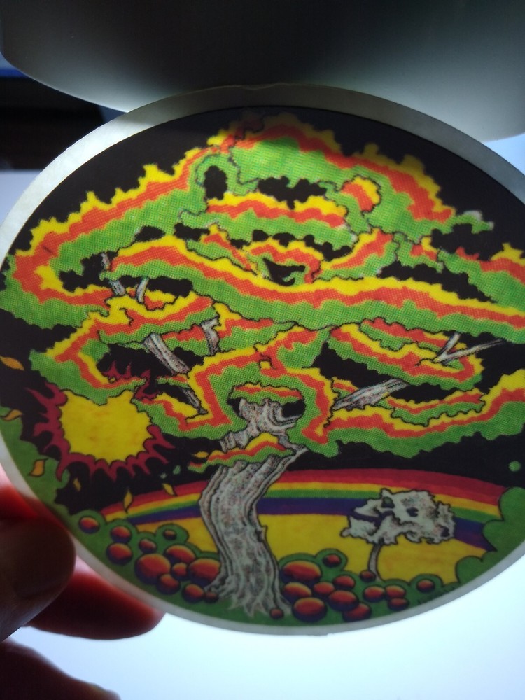 Grateful Dead Vintage Original Car Window Decal Skeleton Psychedelic Fruit Tree