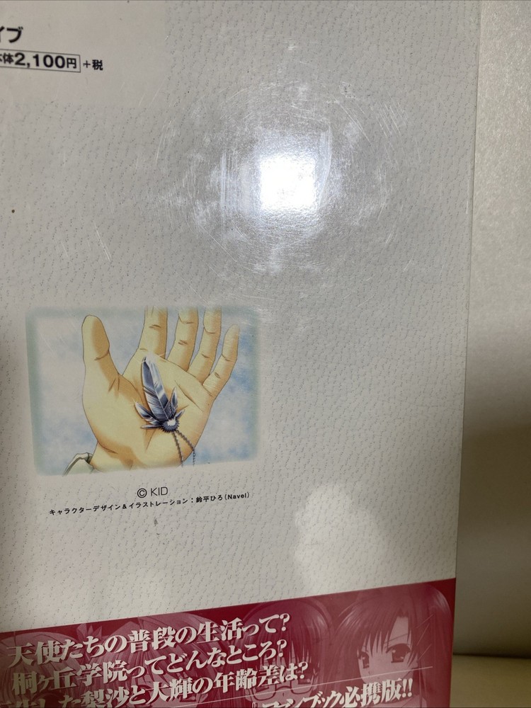 Monochrome Setting Explanation Fan Book a2