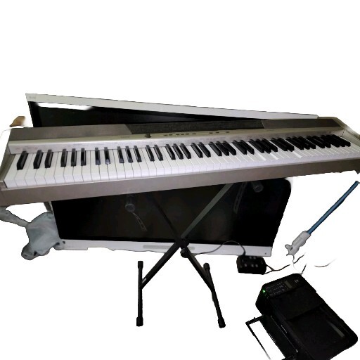 Casio Priva PX 120 & AODSX stand.