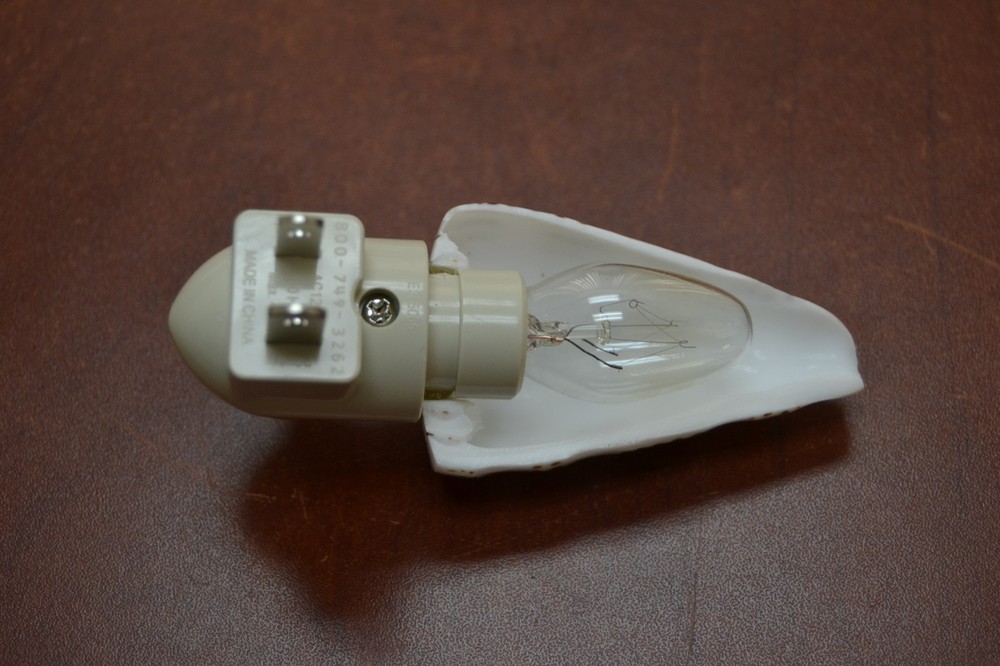 STRIPE CONE SEA SHELL NIGHTLIGHT