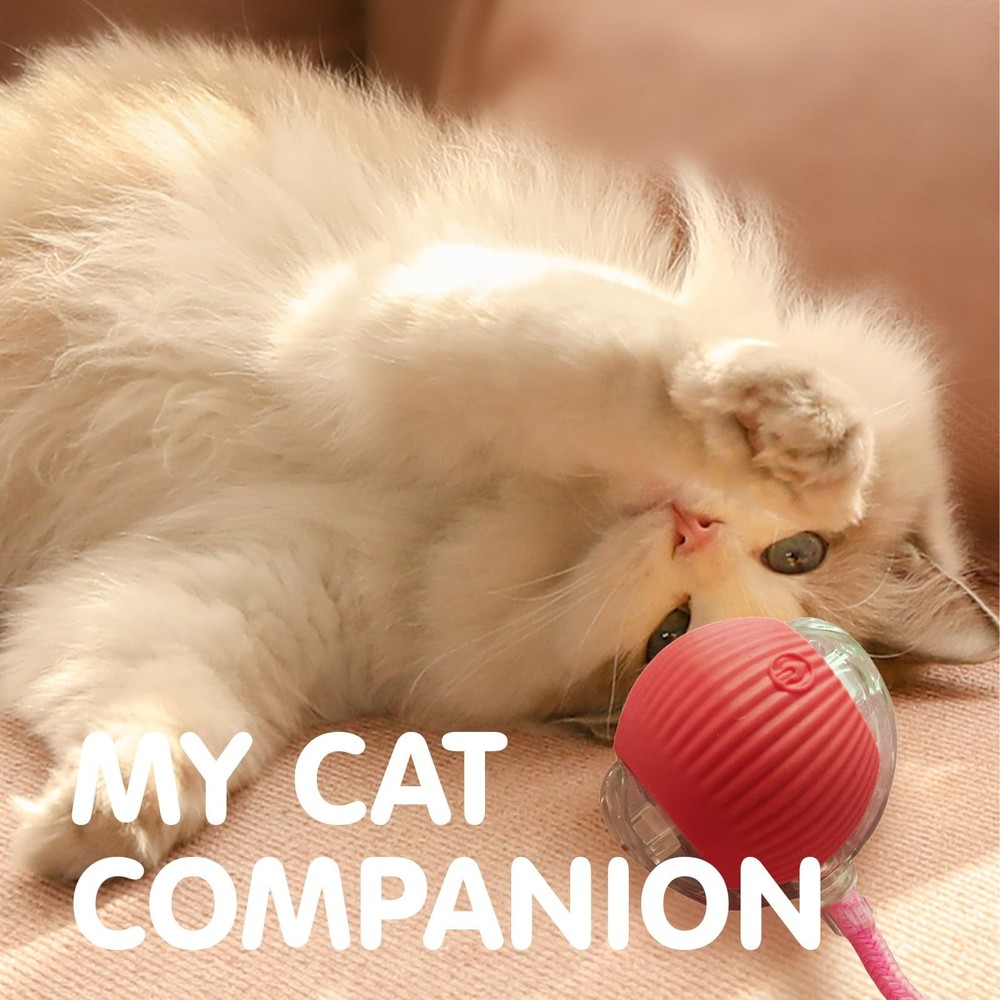 Rocfish Durable Interactive Cat Toys for Indoor Cats, Smart Automatic Red