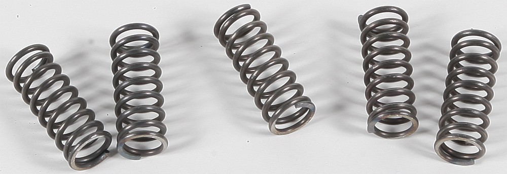EBC Clutch Spring Set - Clutch Springs - CSK70