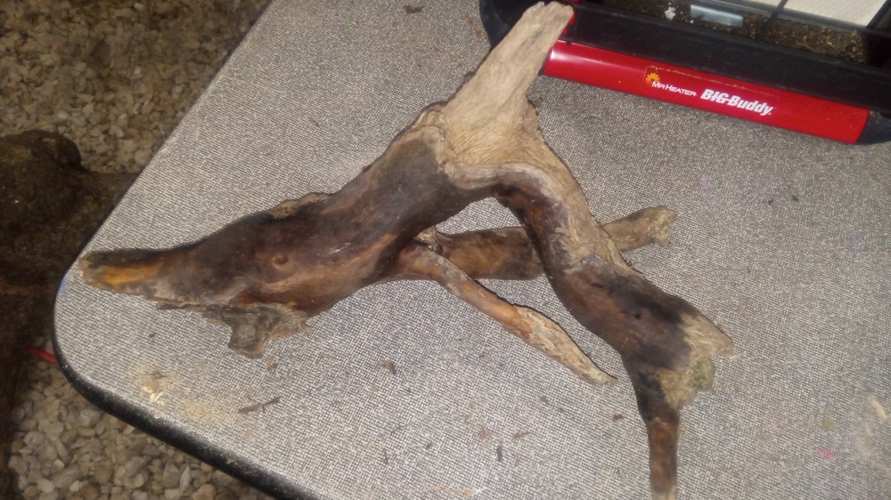 driftwood branch aquarium