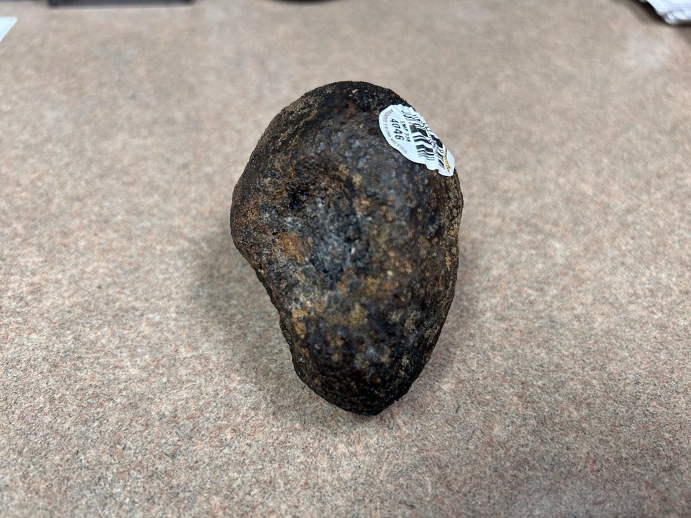 Avocado Stone