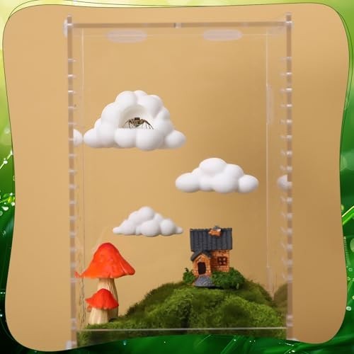 Jumping Spider Enclosure Accessories Kit 5 PCS – Include Cloud Platforms with