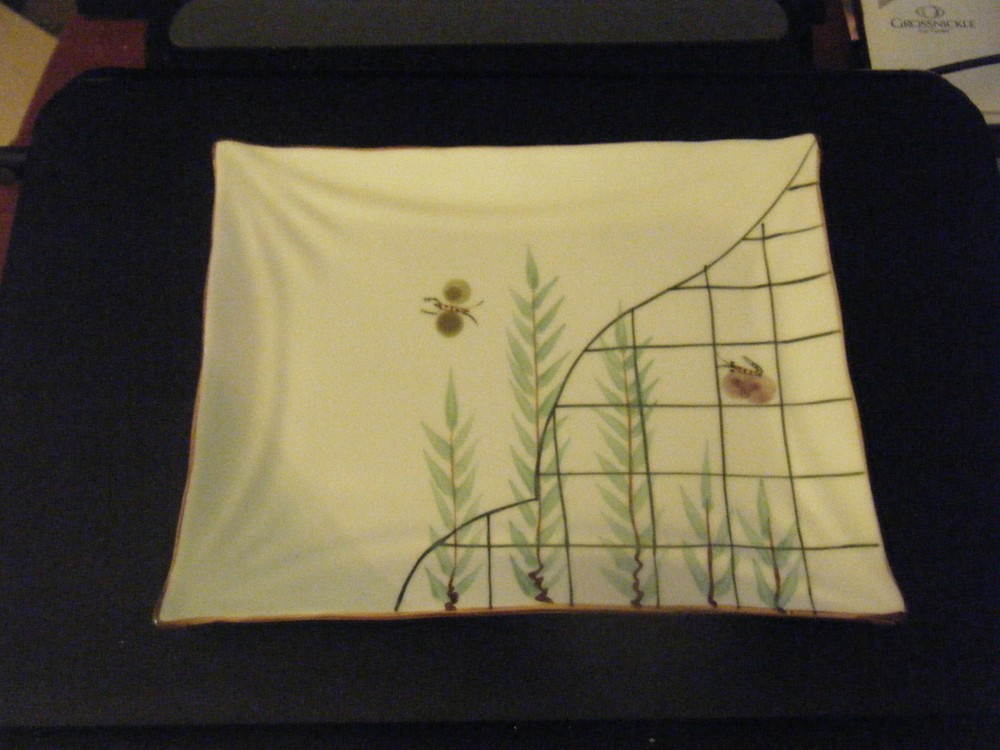 Decorative Porcelain Rectangular Shaped Sushi Style Plate - 8 1/2" X 6 3/4"