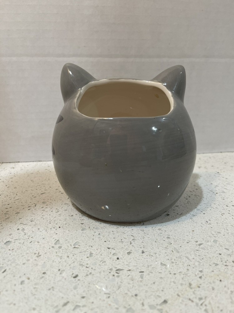 Gray Cat Sweet Eyes Planter Storage Ceramic