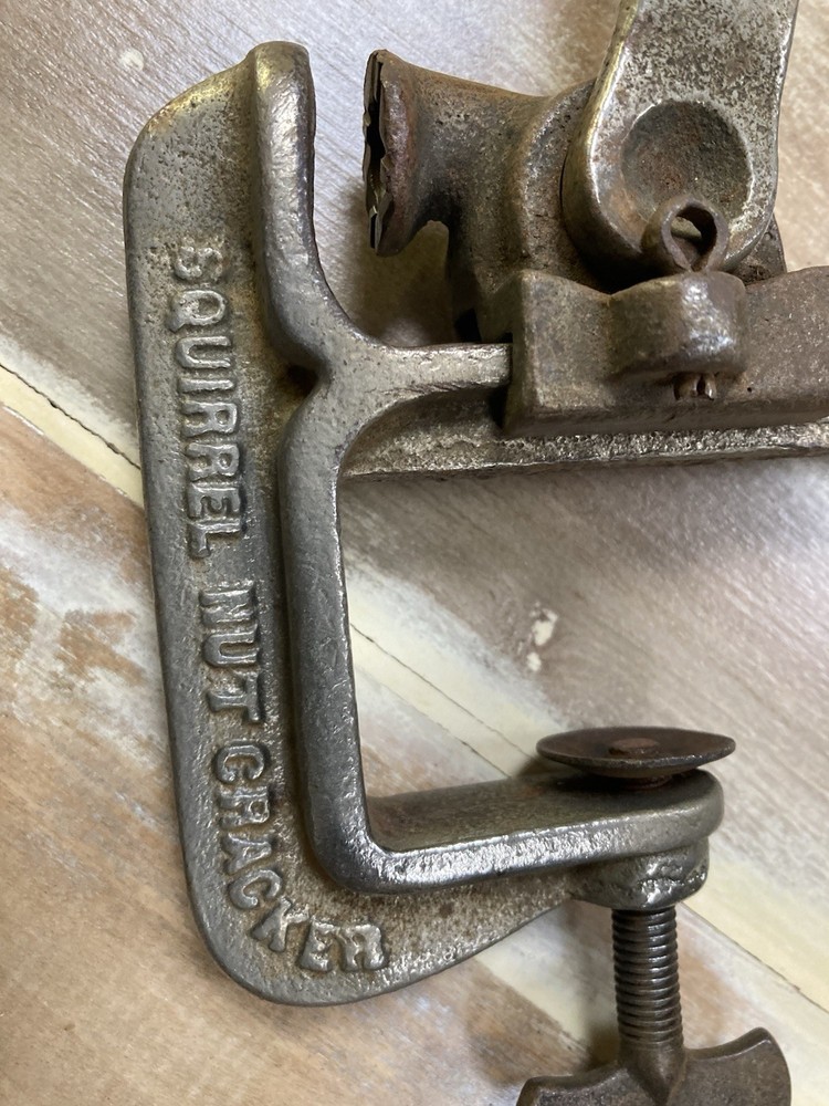 Tyler Tex & Chicago “Squirrel “ Nut Cracker