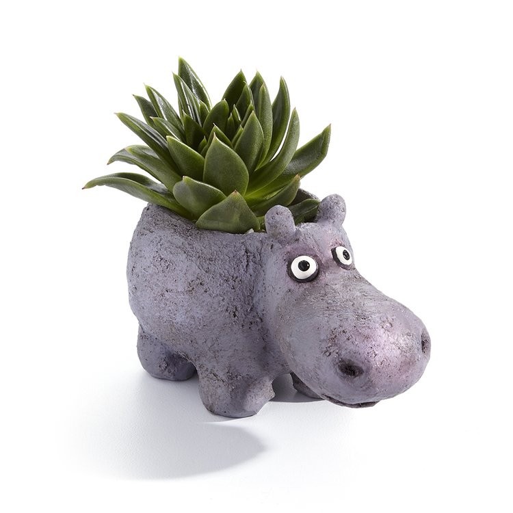 Blobhouse Hazel The Hippo Planter