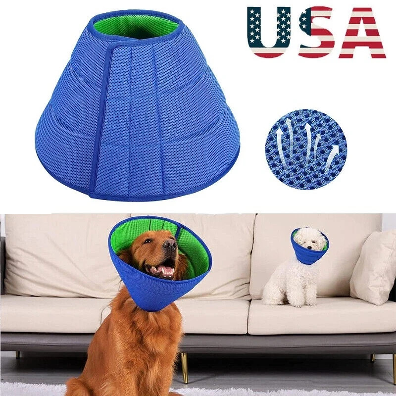 Pet Protective Collar for Dogs & Cats – Recovery Cone (Medium Size)