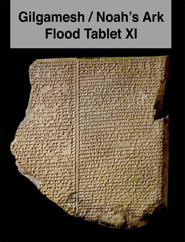 Noah's Ark, Gopher Wood Piece, Solid Resin, Contains Real Artifacts, Free Book