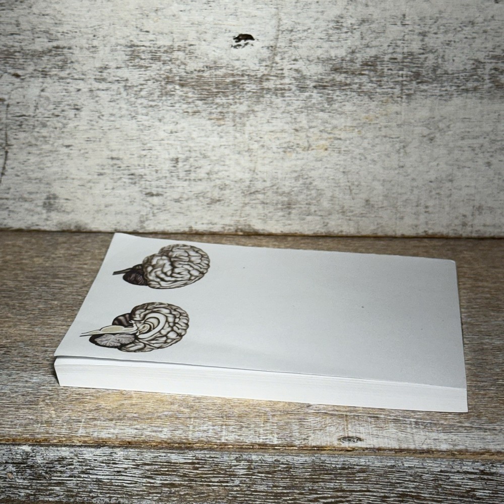 Blue Tree Publishing Assorted Brain Scanned Photos Note Pad 99 Sheets Left 5"x4"