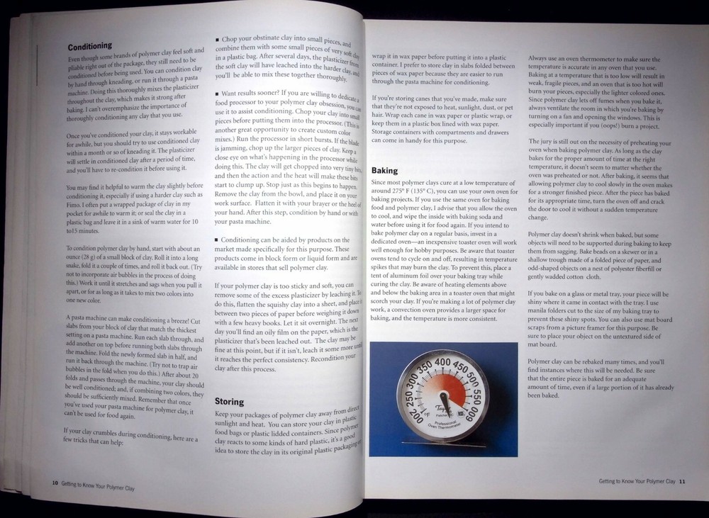 POLYMER CLAY : 20 WEEKEND PROJECTS USING NEW AND EXCITING TECHNIQUES IRENE