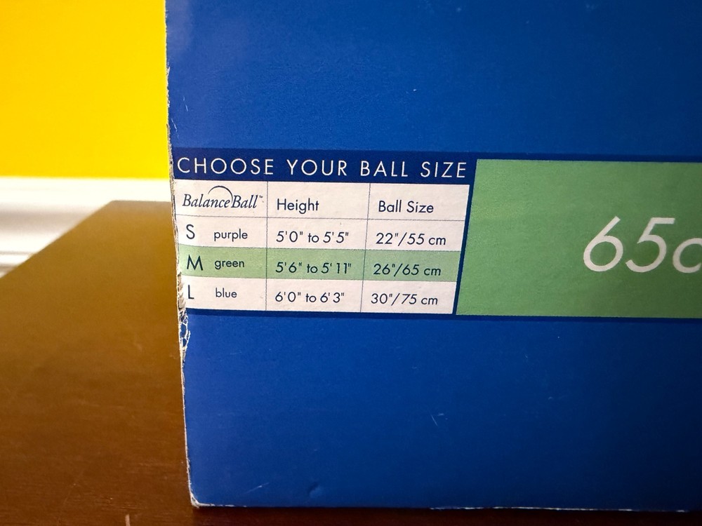 New 2005 Gaiam Balance Ball Beginner Kit Medium Inflatable Workout Exercise Ball