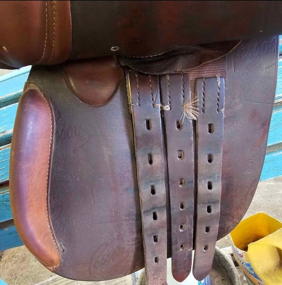 Pessoa Saddle 15" Close Contact