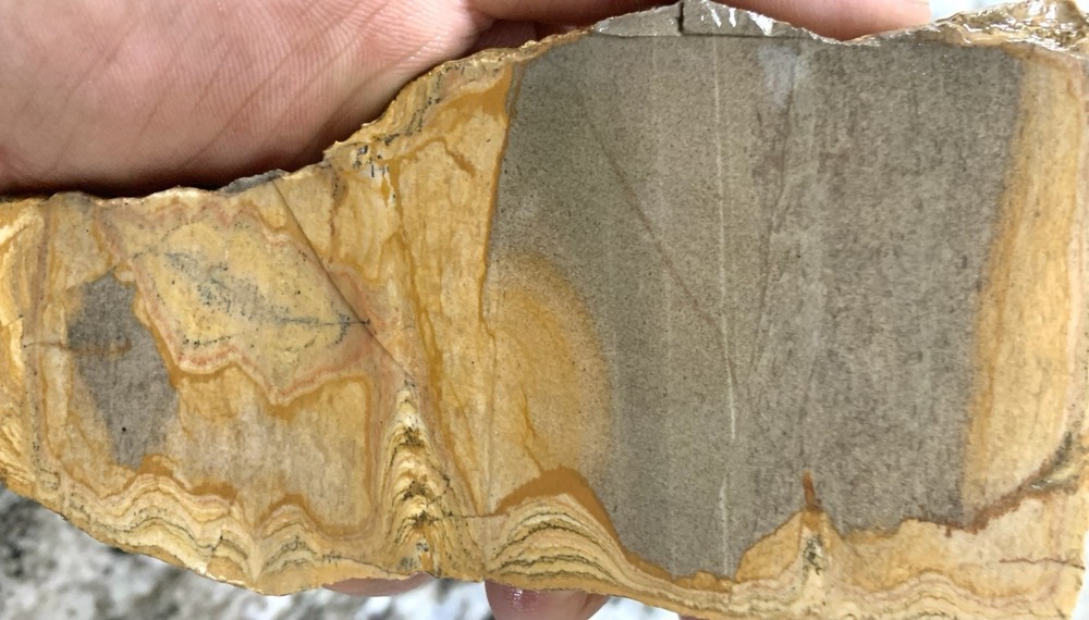 Shadow Mountain Picture Jasper Slab