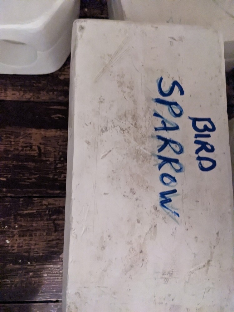 Sparrow Bird Ceramic Slip Mold
