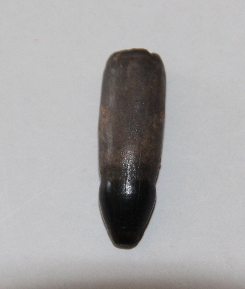 Rooted CROCODILE TOOTH - Dinosaur Age Specimen - Hell Creek Formation Cretaceous