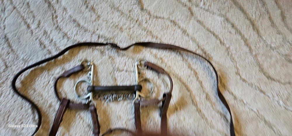 Vintage Bridle With Rubber Bit