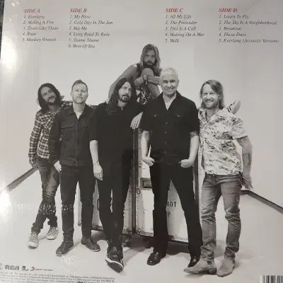 Foo Fighters Essential New LP Vinyl Record Album