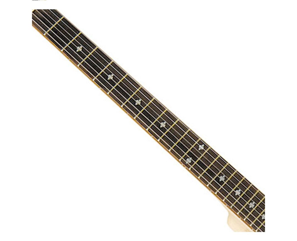 Gold Tone 6-String Banjitar