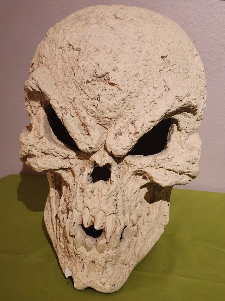 14" Skeleton Ceramic Skull Display Decoration