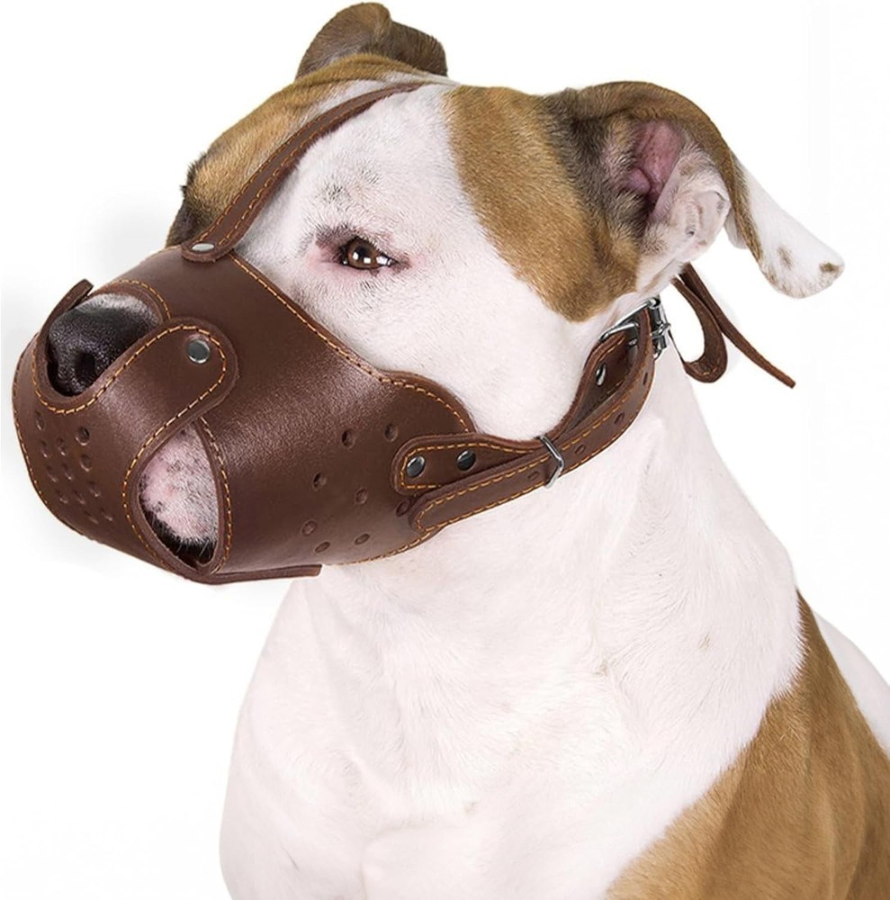 Pitbull Am Staff Basket Muzzle - Genuine Leather-