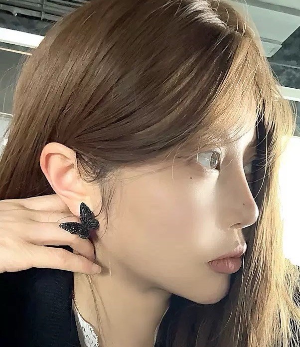 Black rhinestone Butterfly design Stud Earrings Silver Post Crystal Gift Box