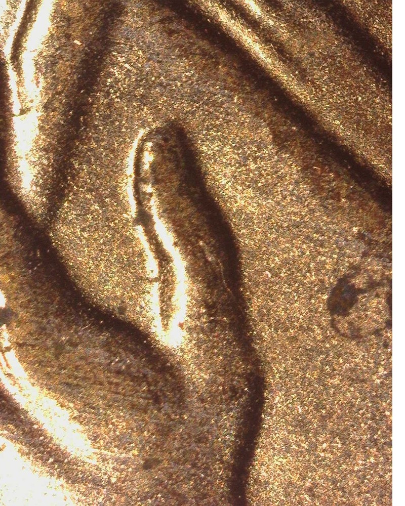 2009 D Lincoln Cent Doubled Thumb