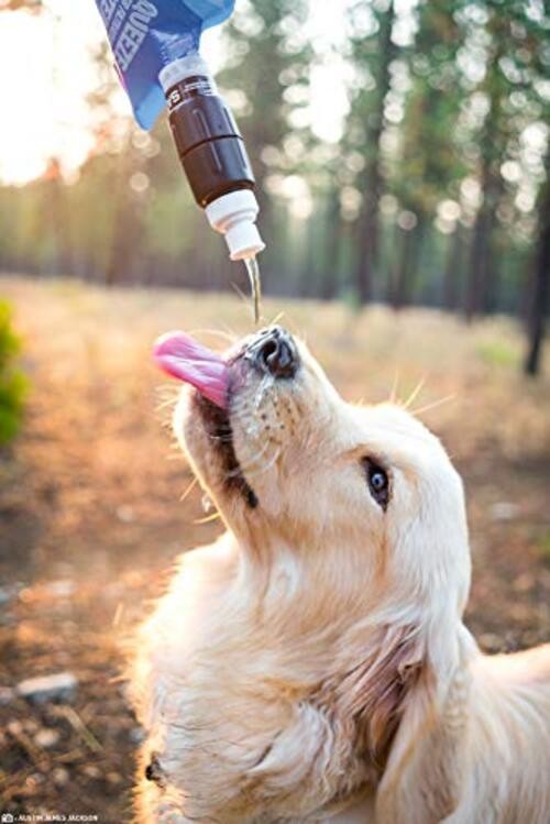 Micro Squeeze Water Filtration System 1-pack