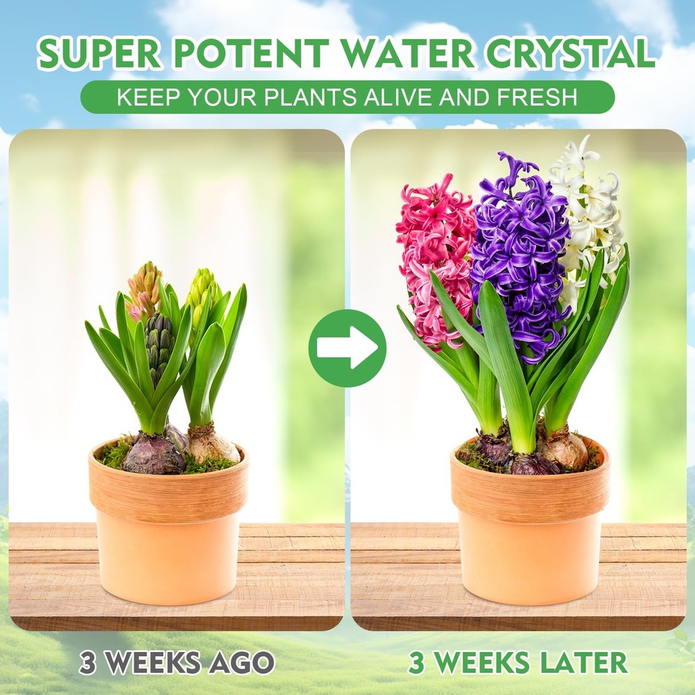 5LB Water Storing Crystals for Plants - Prevent Over-Watering Drought Issues