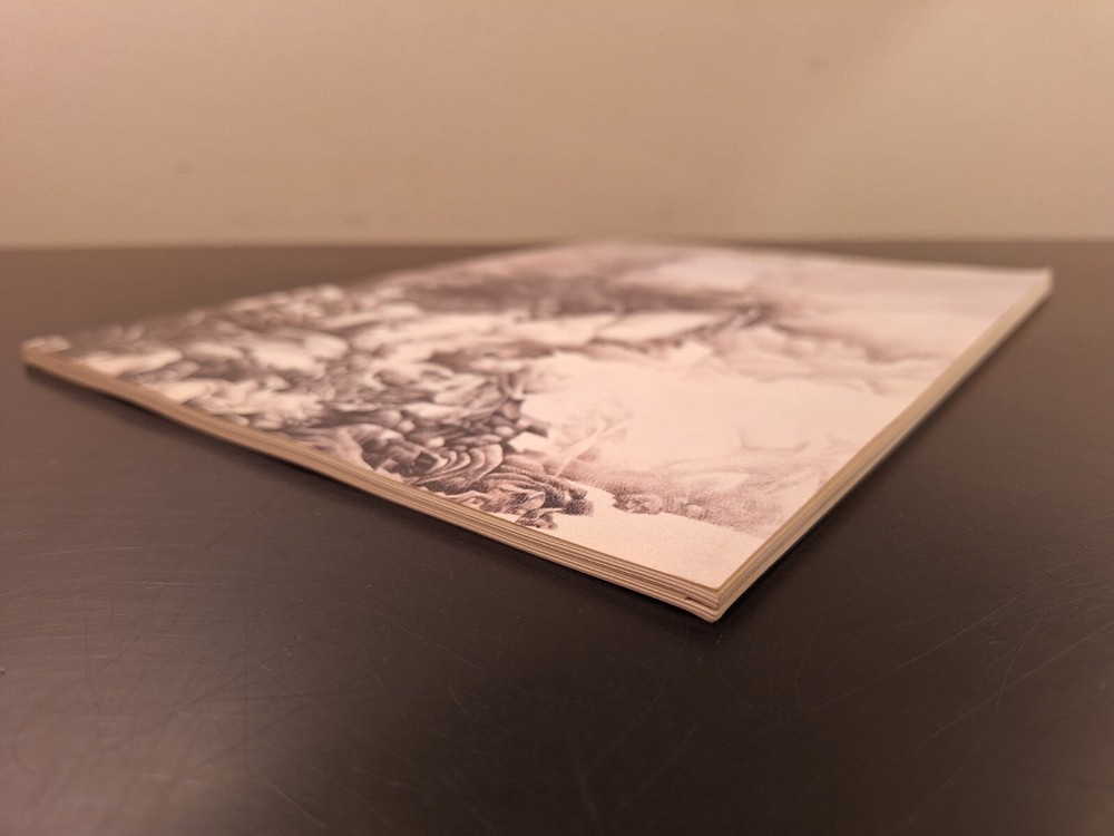 Liu Dan Alternative Visions 1993