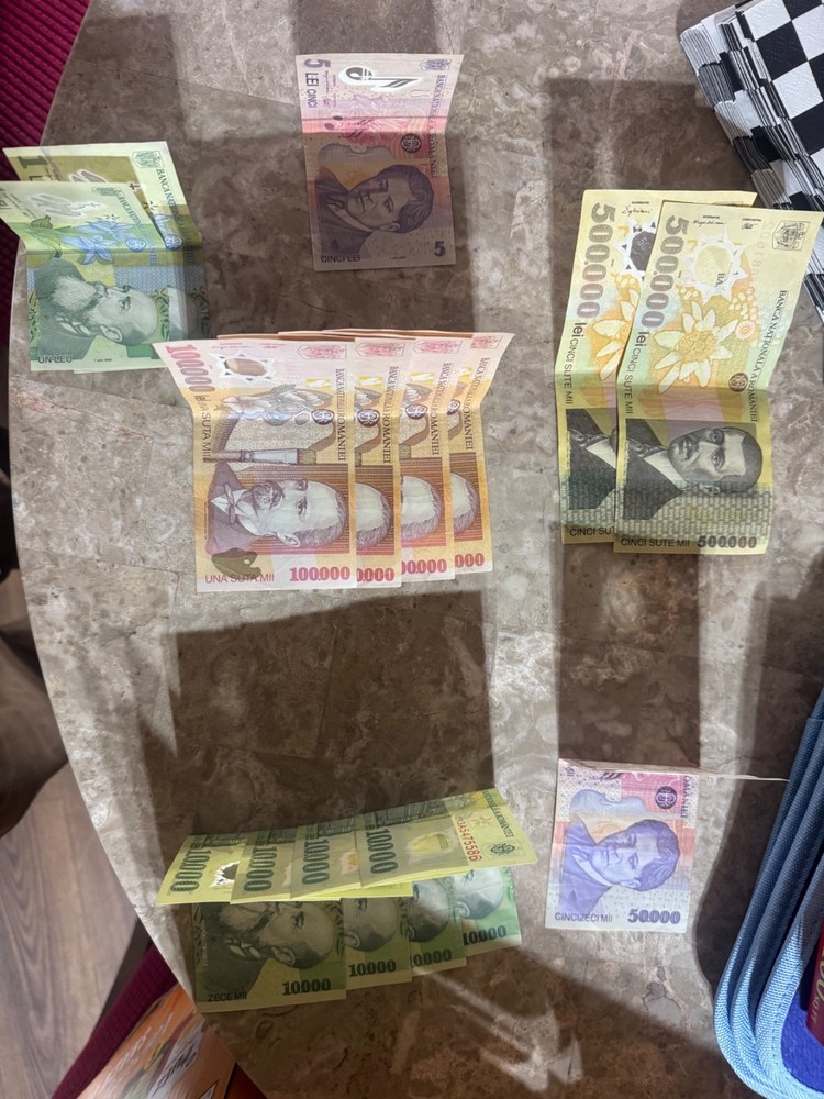 Romanian Money Large bills