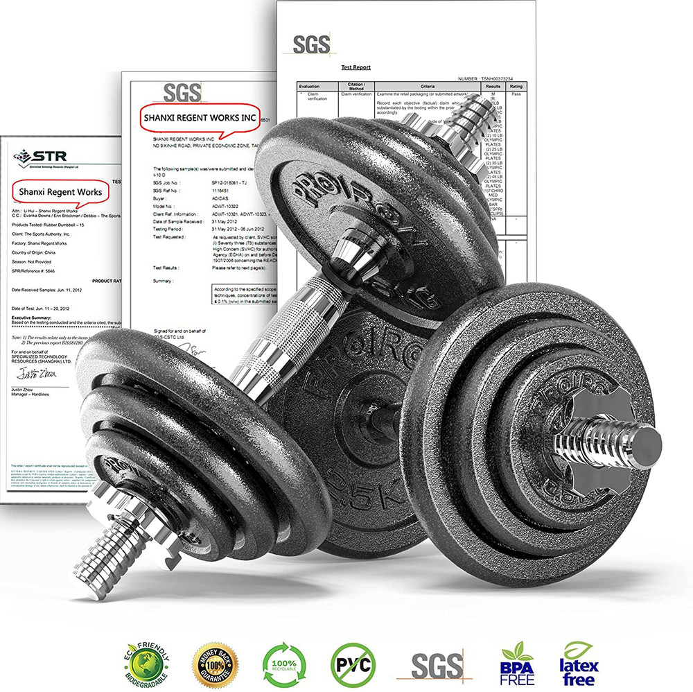 44Lbs Cast Iron Adjustable Dumbbell Set Hand Weight with Solid Dumbbell Handles