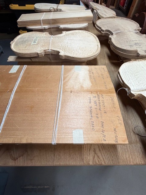 X7 Complete Viola Sets Assembly Required