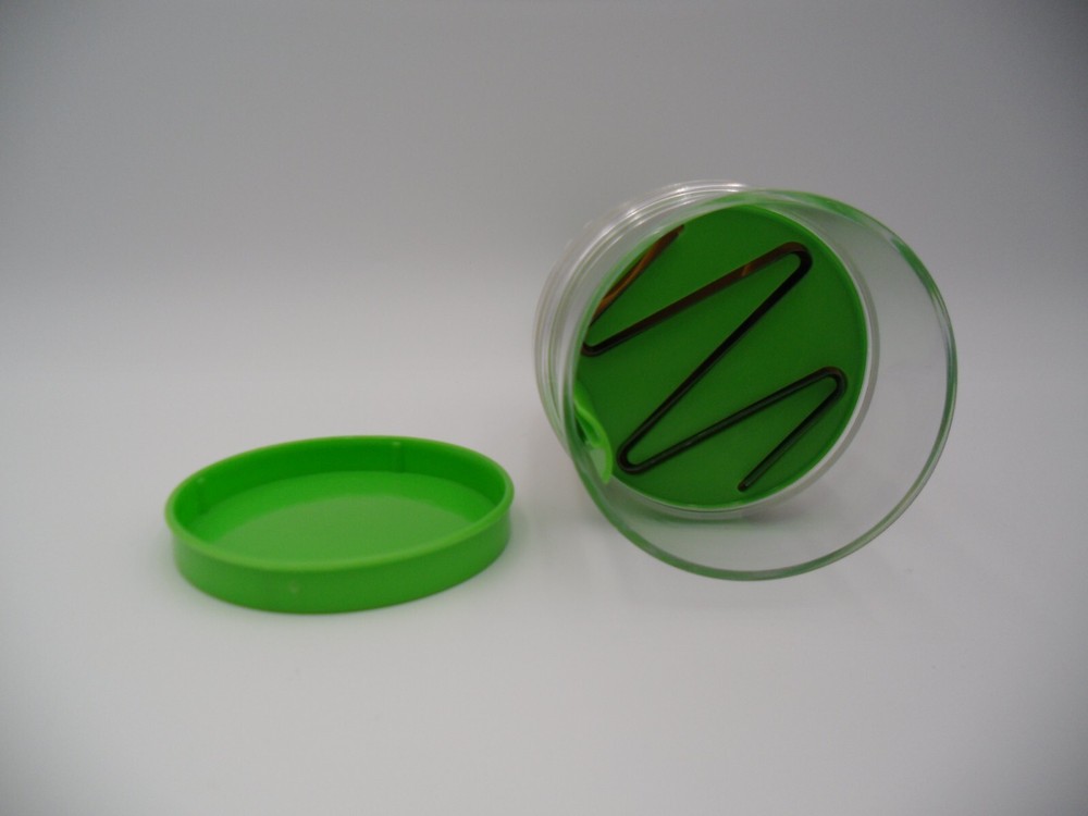 Progressive Prep Solutions Fresh Food Chopper (Open Box)