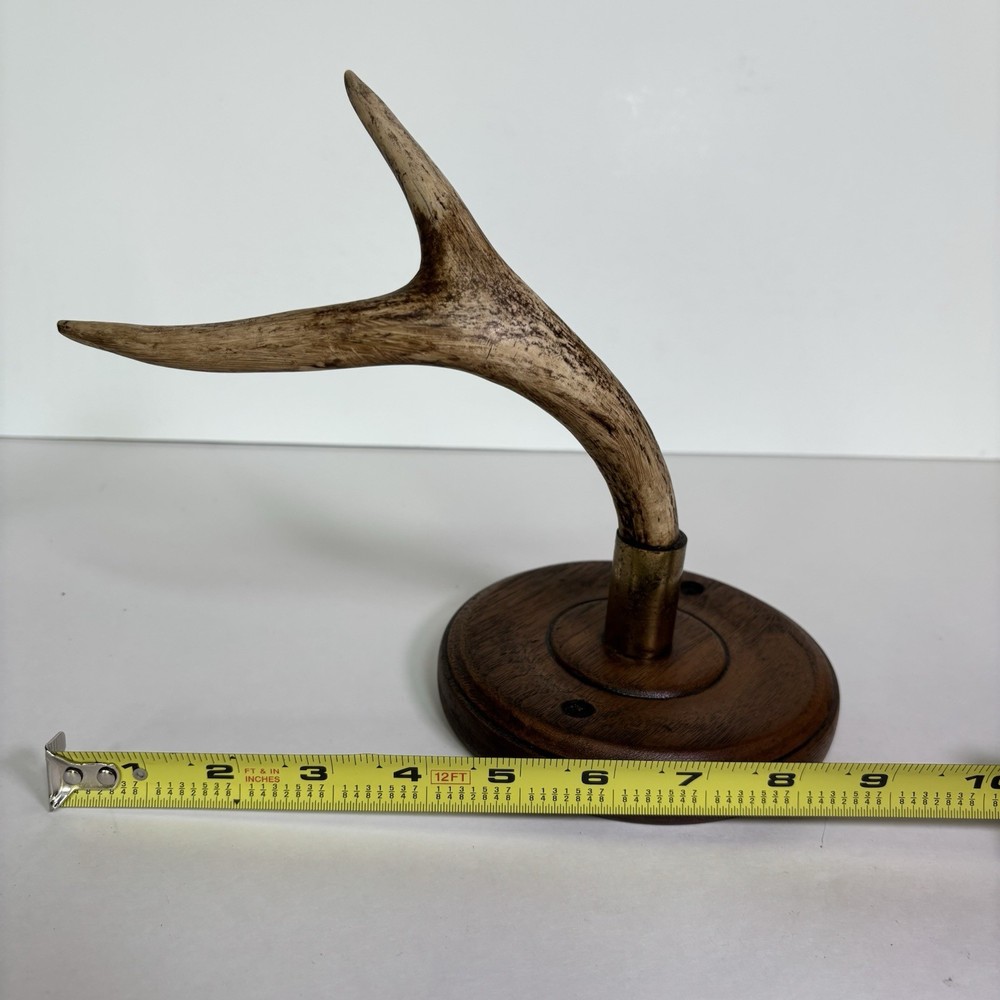 Antler Display