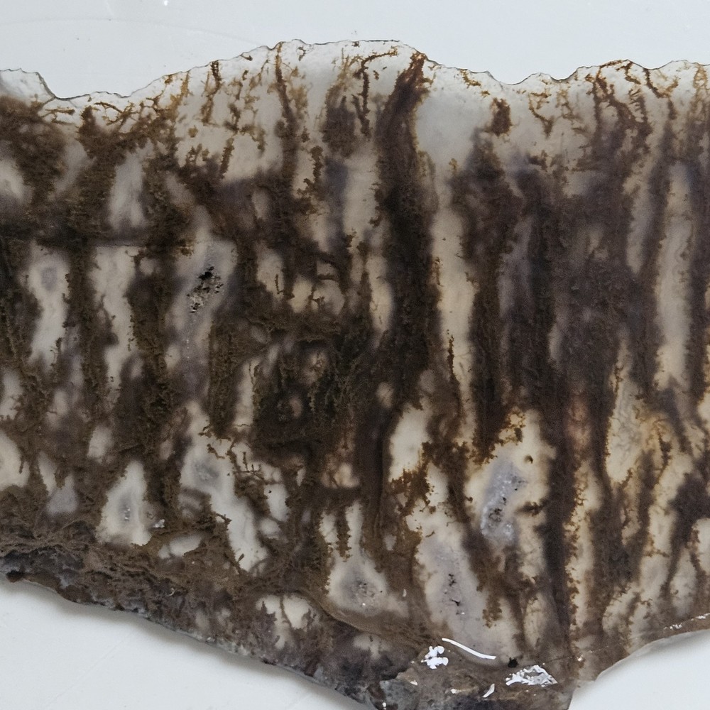 Plume Agate Thin Slab 63 Grams