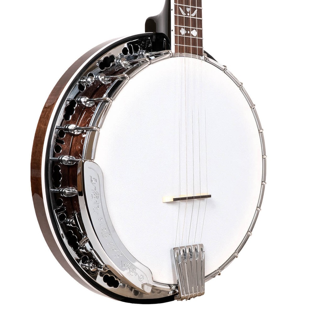Gold Tone BF-150F Bluegrass 5-String Resonator Banjo