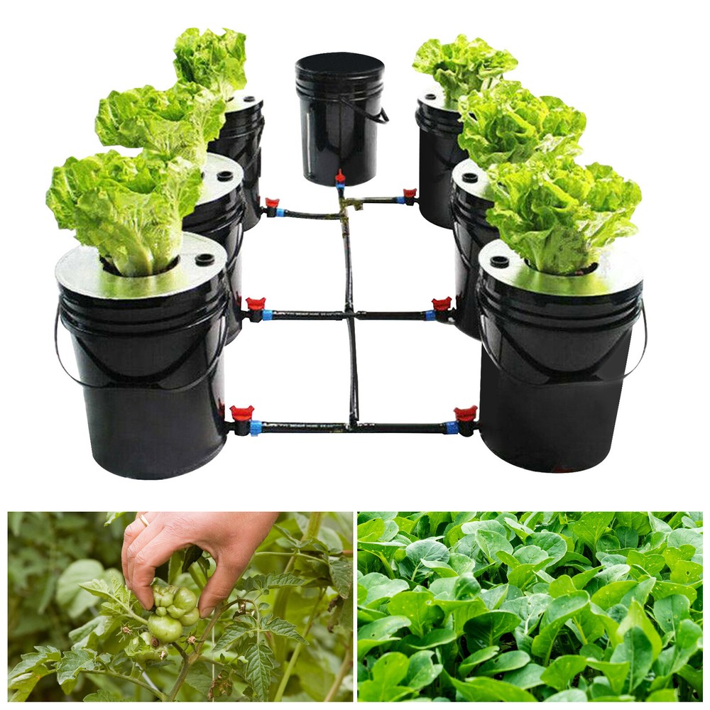 DWC 5 Gallon 6 Buckets Hydroponics Growing System Recirculating Growing Kit