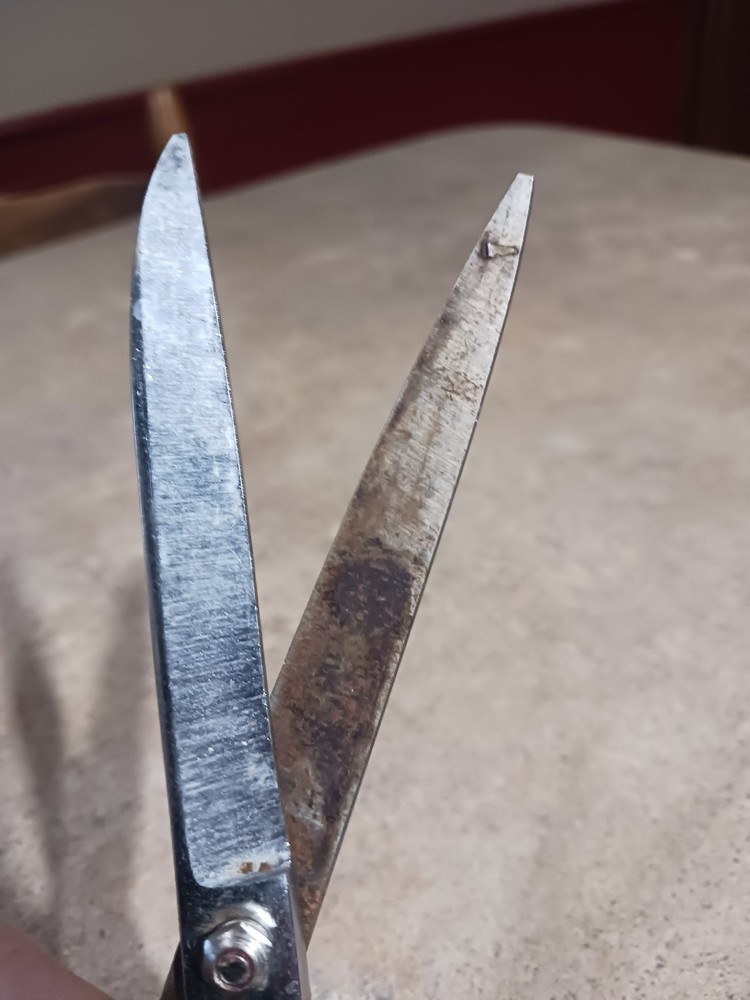 GXO China Fabric Shears 7"