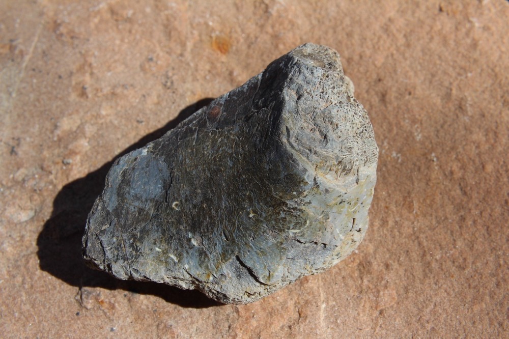 Dinosaur Bone, Lab Grade, Medium Bones, 2.5" to 3.25"