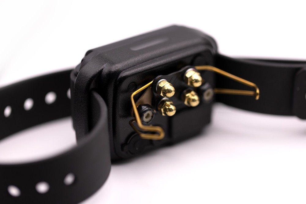 E-Collar Soft Wing Comfort Pad - Points (CPAD-011)