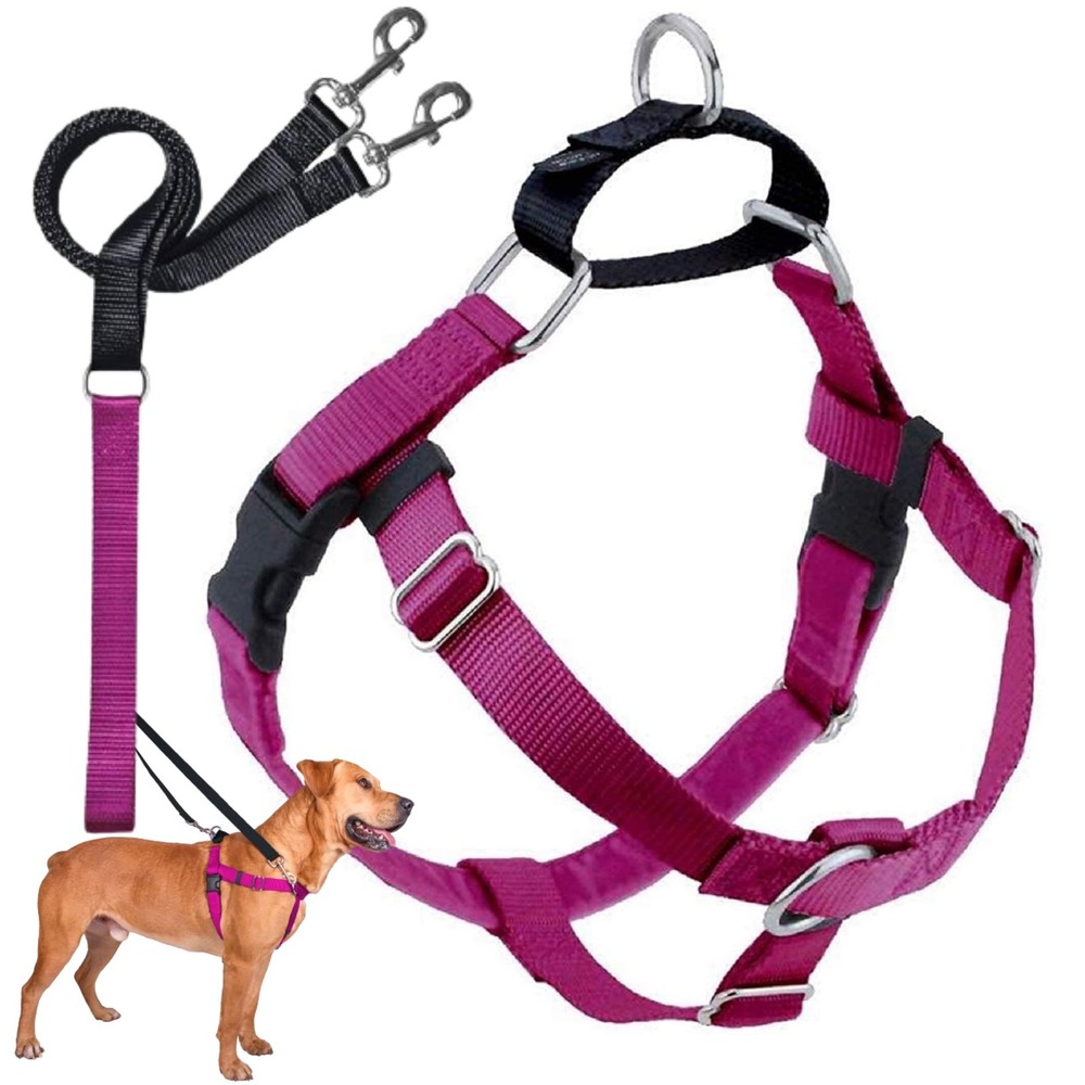 Raspberry No Pull Dog Harness Anti Pull Adjustable Chest 28 to 32 Inches