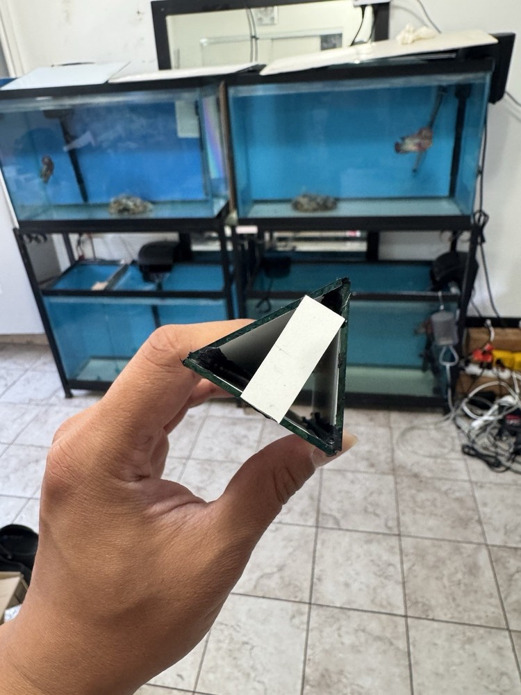 Flowerhorn Fish Training Mirror ( Mini version ) - Handmade