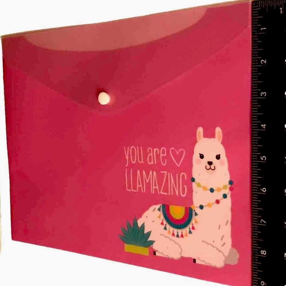 Llama Set Vinyl Pencil Pouch and Envelope, 6 Stackable Push Pencils & 4 Erasers