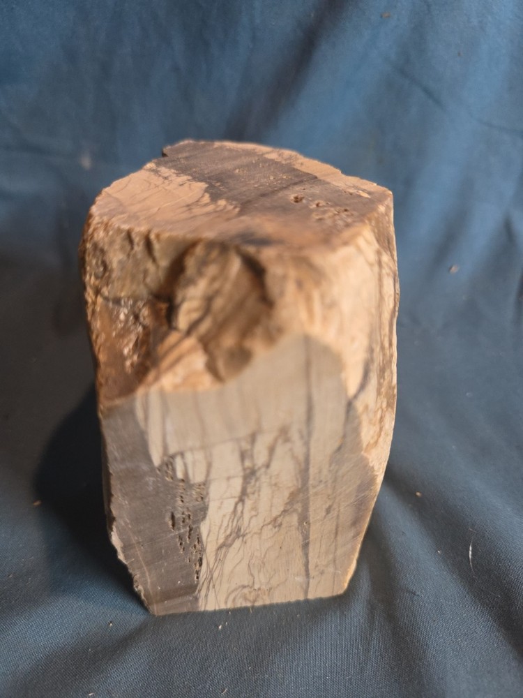Petrified Wood Rough Approx 4x4 950 Grams