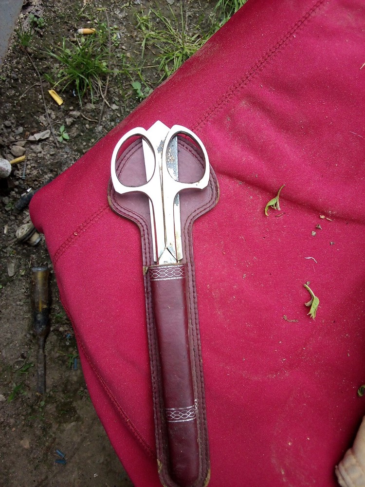 Old Scissor Kit